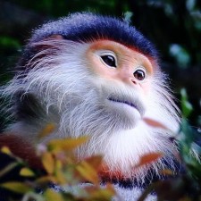 Avatar for Paul Cousin from gravatar.com