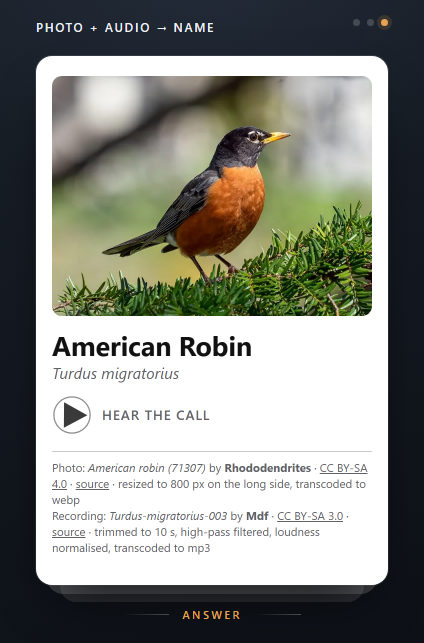 Photo + Audio card, answer