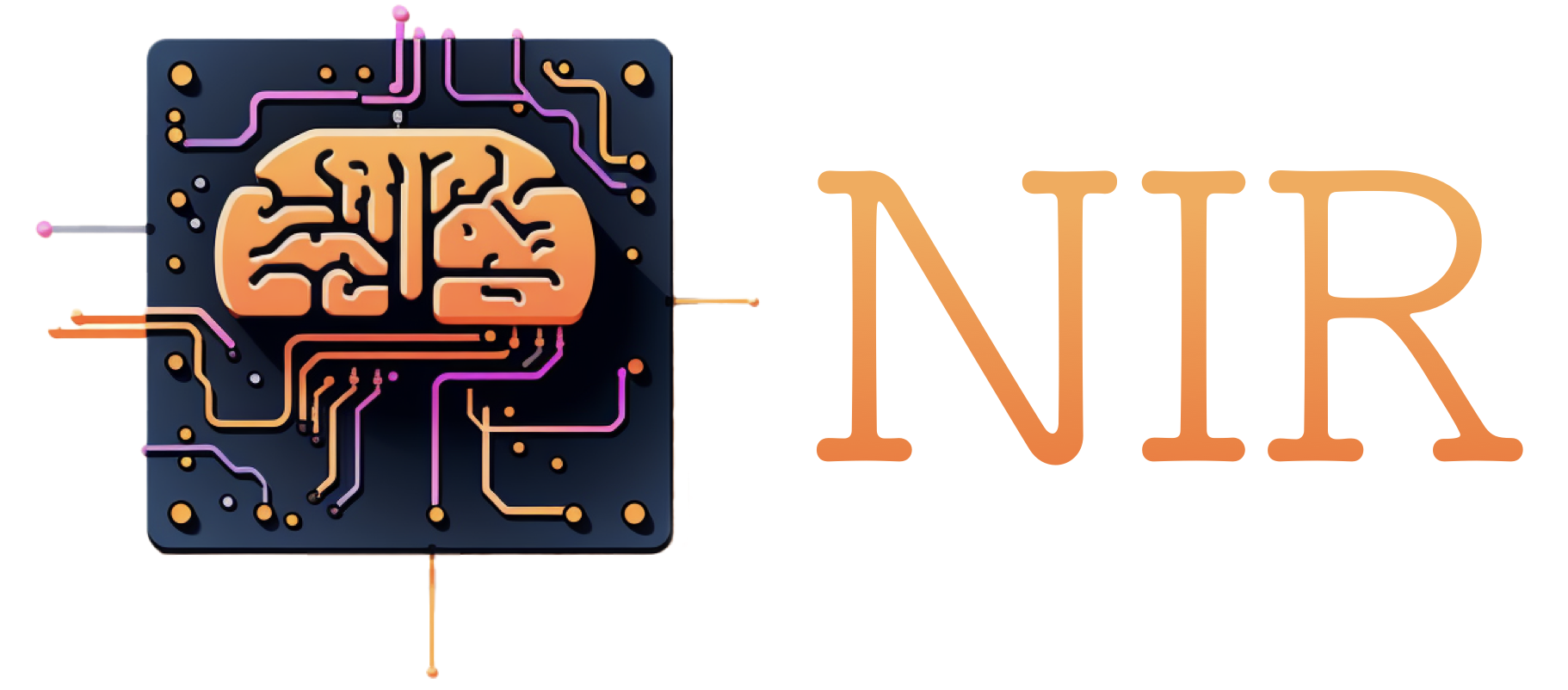 NIR Logo