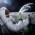 Avatar for drupke from gravatar.com