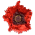 Avatar for waldhol from gravatar.com