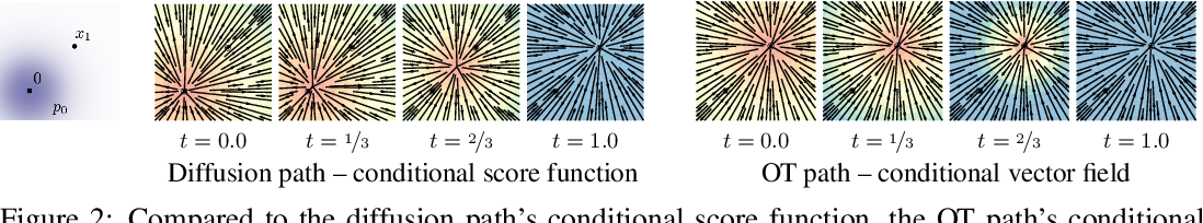 Diffusion path conditional score field versus optimal-transport path conditional vector field