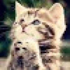 Avatar for caleb from gravatar.com