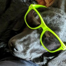 Avatar for David Golke from gravatar.com