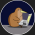Avatar for kivicode from gravatar.com