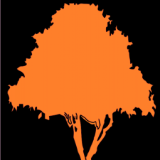 Avatar for Jesse Lapere from gravatar.com