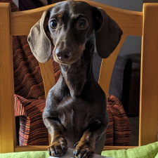 Avatar for Raúl Cumplido from gravatar.com