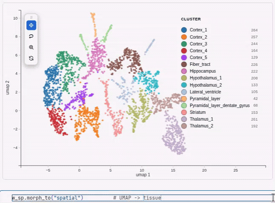 Morph a UMAP into spatial tissue coordinates