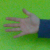 Avatar for itsatony from gravatar.com
