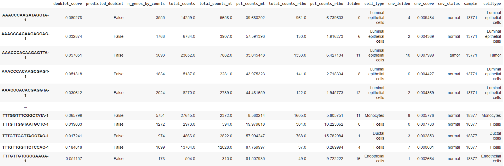 The obs table for resulting adata file