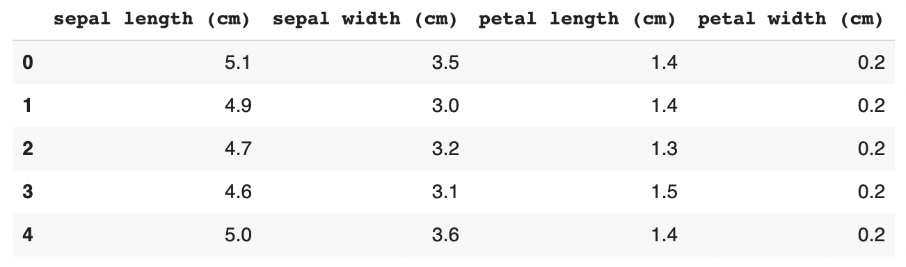 Iris DataFrame
