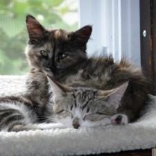 Avatar for Bob Donahue from gravatar.com