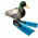 Avatar for siemvk from gravatar.com