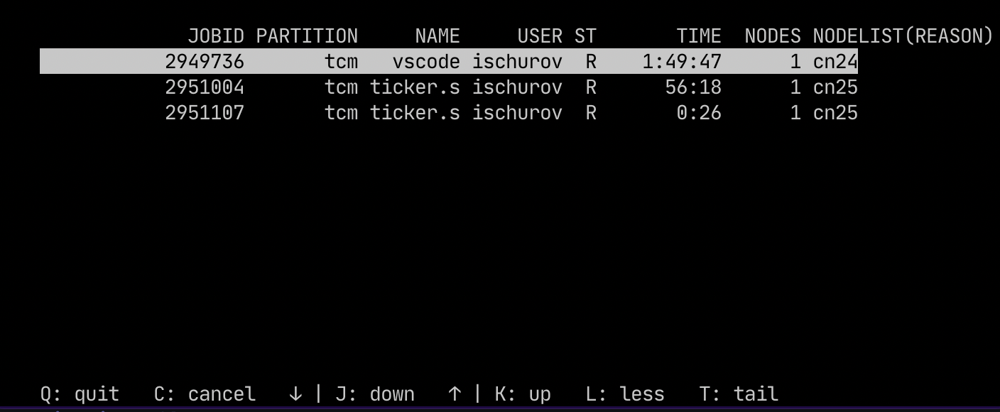 Screenshot of slurmtop command