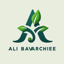 Avatar for Ali Bavarchee from gravatar.com