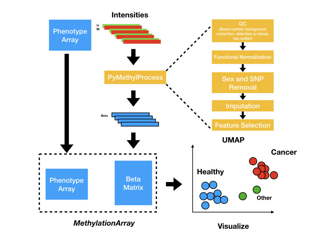 pymethylprocess_overview