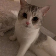 Avatar for elf_gzp from gravatar.com