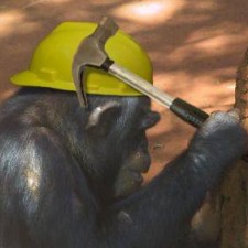 Avatar for John Casey from gravatar.com