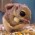 Avatar for edoreld from gravatar.com