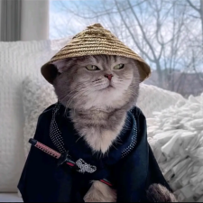 Avatar for 江南雨上 from gravatar.com