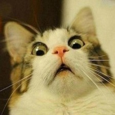 Avatar for Andre Sencioles from gravatar.com