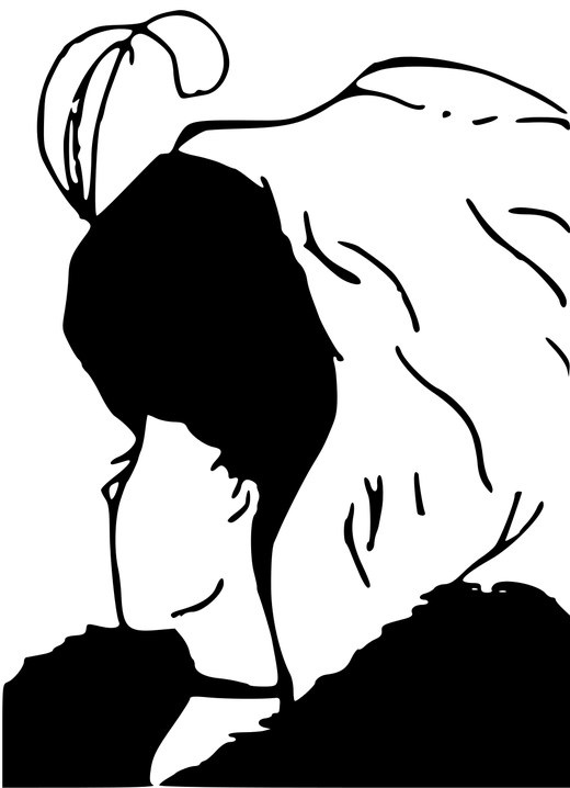 eye illusion old vs young woman face