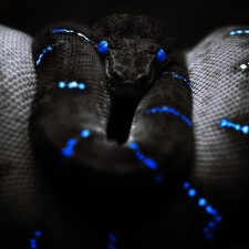 Avatar for Anatolii Maliarov from gravatar.com