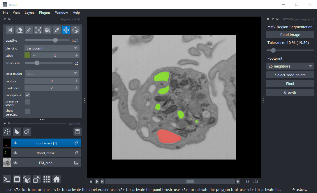 MMV-RegionSeg Plugin Screenshot