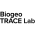 Avatar for bgtl-uab from gravatar.com