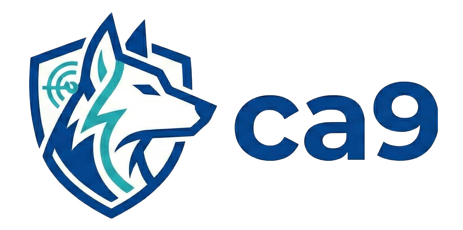 ca9 — CVE reachability analysis for Python