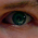 Avatar for petrpulc from gravatar.com