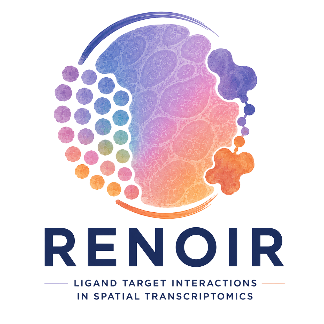 RENOIR