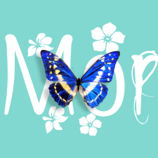 Avatar for mingwei from gravatar.com