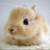 Avatar for Hooman from gravatar.com