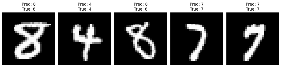 Predictions for the first 5 test samples