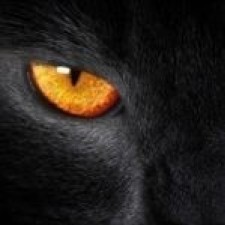 Avatar for Omelchenko Michael from gravatar.com