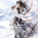 Avatar for Marsmurong from gravatar.com