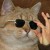 Avatar for tylerhenthorn from gravatar.com