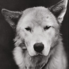 Avatar for odin from gravatar.com