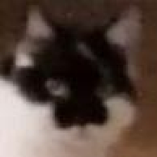 Avatar for f0rw4rd from gravatar.com