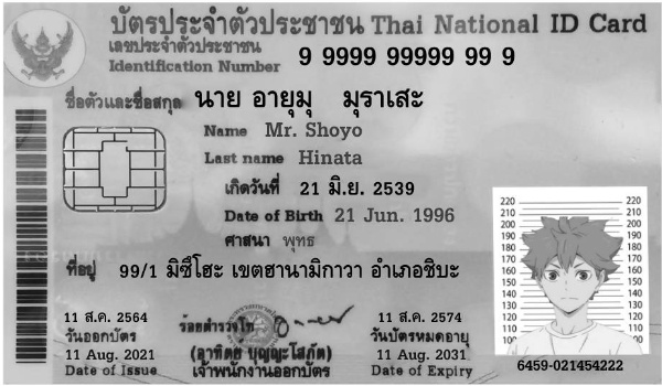 wrapPerpective image crop