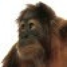 Avatar for Achille Lacoin from gravatar.com
