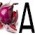 Avatar for CekLuka from gravatar.com