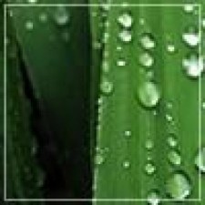 Avatar for smefferd from gravatar.com