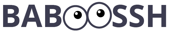 https://raw.githubusercontent.com/cybiere/baboossh/master/logo.png