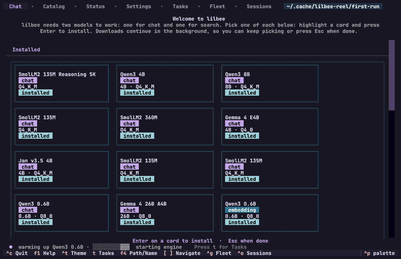 the first-run wizard: pick a chat model and an embedding model, and go