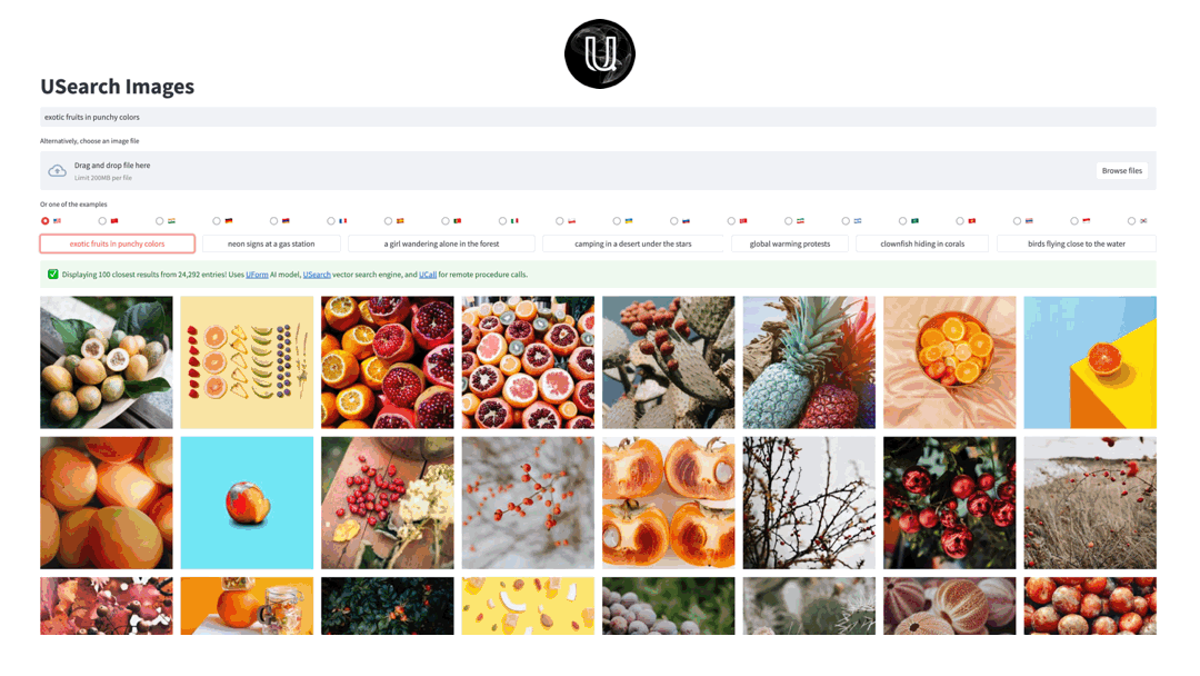 USearch Semantic Image Search