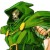 Avatar for garbage1010 from gravatar.com