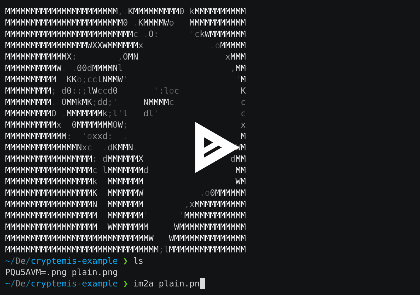asciicast