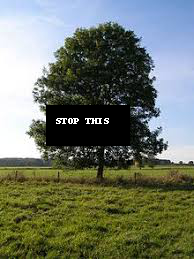 https://raw.githubusercontent.com/montoyamoraga/protestpy/gh-pages/example-trees/1.png